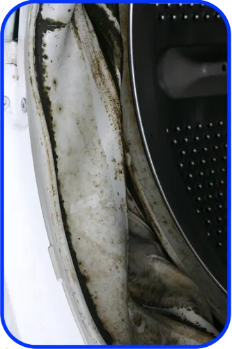 dirty door seal